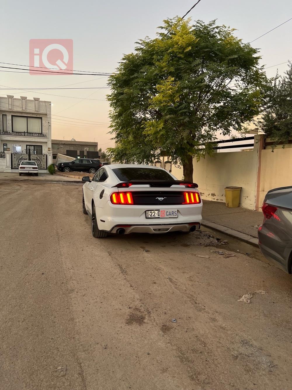 فۆرد مۆستانگ